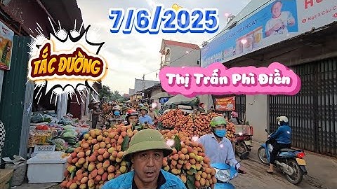 CHOÁNG NGỢP TRƯỚC LƯỢNG VẢI U HỒNG LỤC NGẠN TẠI NGÃ BA PHÌ ĐIỀN I NÚI ĐỒI LỤC NGẠN