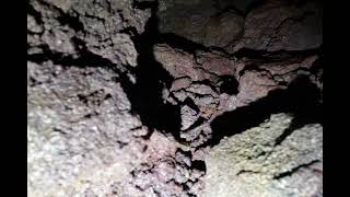 Chubby Bunny Cave, video 1, part 4, 6k
This is a lava tube named Chubby Bunny Cave. Chubby Bunny Cave, video 1, part 4, 6k