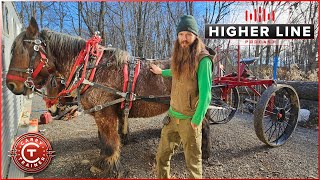 He uses the worlds strongest horses for logging | Higher Line Podcast #228