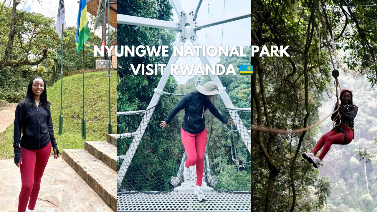 	I Faced My Fear! Ziplining & Canopy Walk in Nyungwe National Park 🇷🇼 