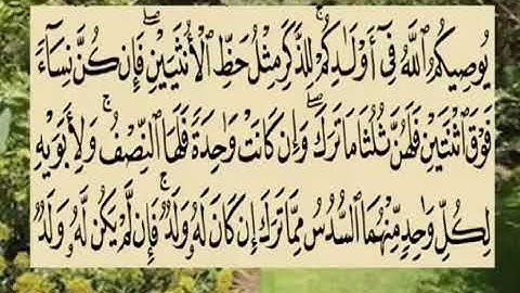 سورة النساء أية 11 للشيخ  جمال القرش