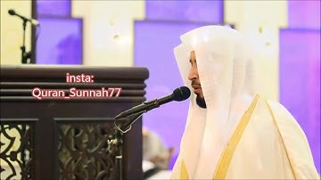 القارئ سعد الغامدي يزور مسجد الشيخ رعد و يصلي بالناس ليلة 8   رمضان 1439 2018