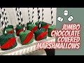 Jumbo chocolate dipped marshmallows  peter pan themed treats