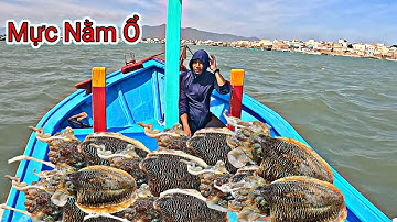 Bất Ngờ Ở Điểm Chà Này Mực Nang Trụ Về Làm Ổ Hai Anh Em Được 15Kg | P 622