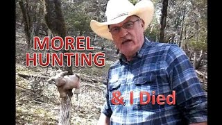 MOREL HUNTING & I DIED by PINE MEADOWS HOBBY FARM A Frugal Homestead 930 views 1 month ago 14 minutes, 39 seconds