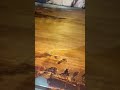 Kauri Wood Table | Ancient Kauri Wood | ICEWOOD