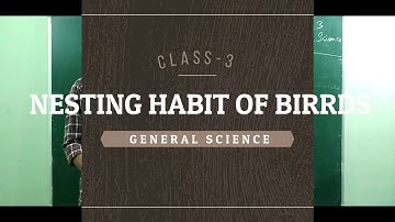 CLASS 3 | SCIENCE | NESTING HABITS OF BIRDS