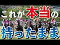 圧勝！楽勝！「持ったまま」なレース集めました！@Go Keiba