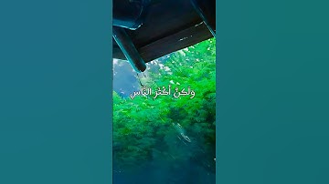 من سورة البقرة- آية (243) #قرآن #قران_كريم #قرآن #قران_كريم #قرآن #قران_كريم #قرآن #قران_كريم #قرآن