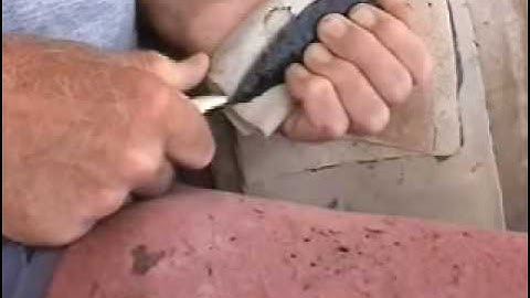 Humboldt Point Abo, Part 5