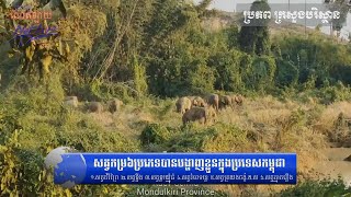 សត្វកម្រ៦ប្រភេទបានបង្ហាញខ្លួនក្នុងប្រទេសកម្ពុជា