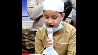 Story Wa || MUHAMMAD HADI ASSEGAF ( SHOLAWAT YA IMAMARUSLI)