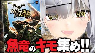 【無印モンハン】PS2『初代モンスターハンター』今更完全攻略TV