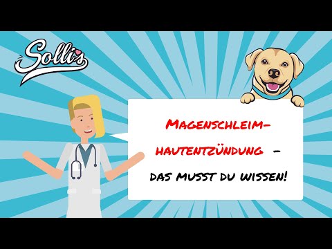 Video: Langzeit-Magenentzündung Bei Hunden