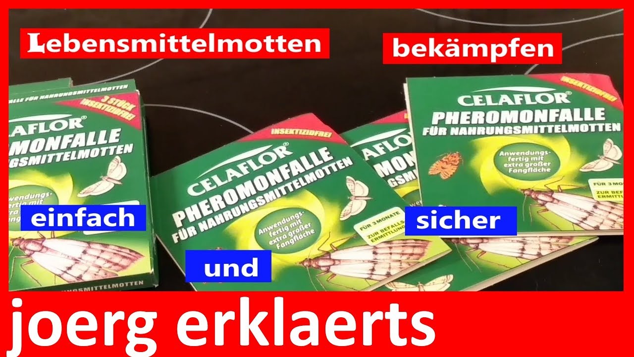 Pheromonfalle Lebensmittelmotten Pheromonfalle Lebensmittelmotten