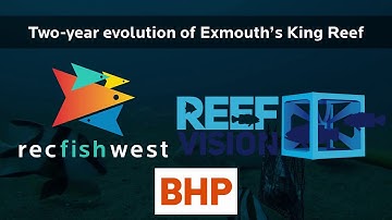 Vision of Exmouth artificial reef’s two-year evolution is fit for a King