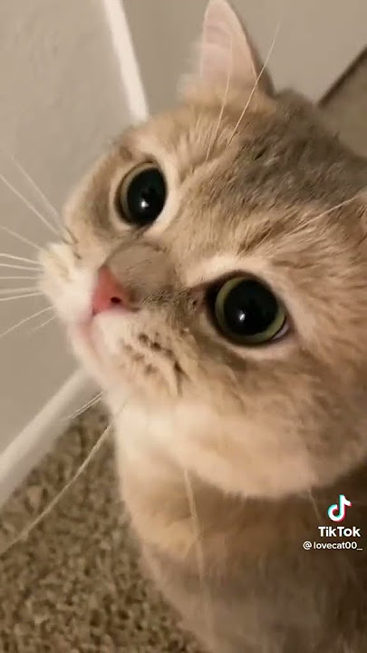 7480425037031445561 1