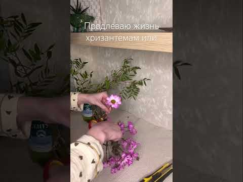 Мини букет в кружке art_skos #керамика #ceramic #handmade #flowers #lifestyle #цветы #санктпетербург
