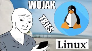 Wojak tries Linux