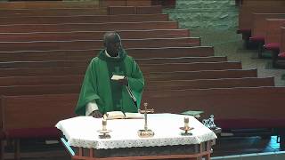 July 18 & 19, 2026, Sixteenth Week in Ordinary Time
