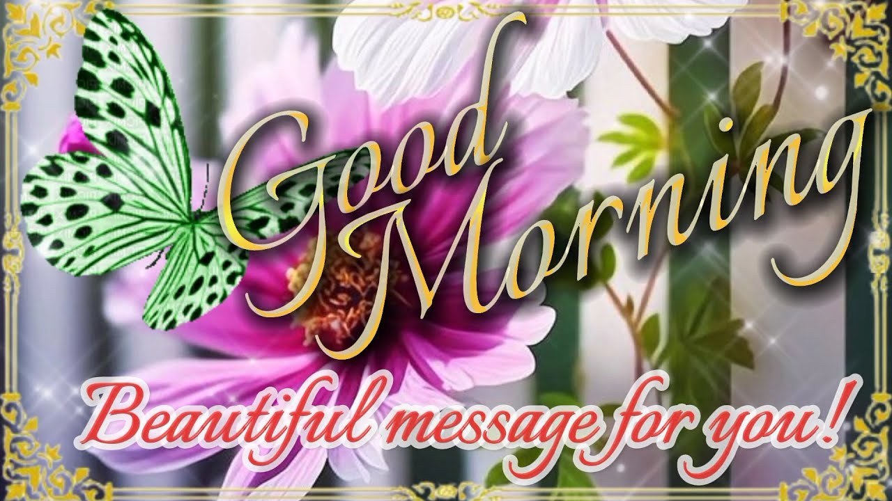 Good Evening Beautiful Message For You To Start Your Day With Much good-evening-beautiful-message-for-you-to-start-your-day-with-much