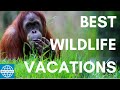 The 5 Best Vacations for Wildlife Lovers | SmarterTravel