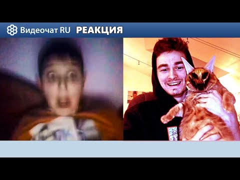 БАБУШКА СМОТРИТ страшный кот СКРИМЕР-ПРАНК в чатрулетке! // Реакция на TheBrianMaps