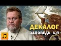 10 ЗАПОВЕДЕЙ. НЕ УБИВАЙ. Заповедь 6-я (аудио). Протоиерей Олег Стеняев