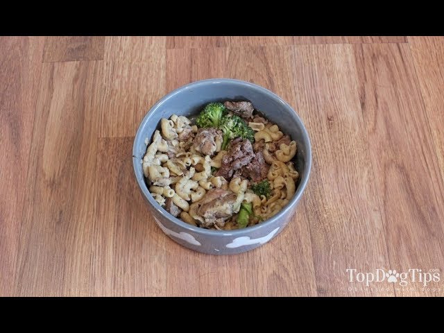 Homemade Weight Loss Dog Food Recipe Filling Low Calorie Youtube