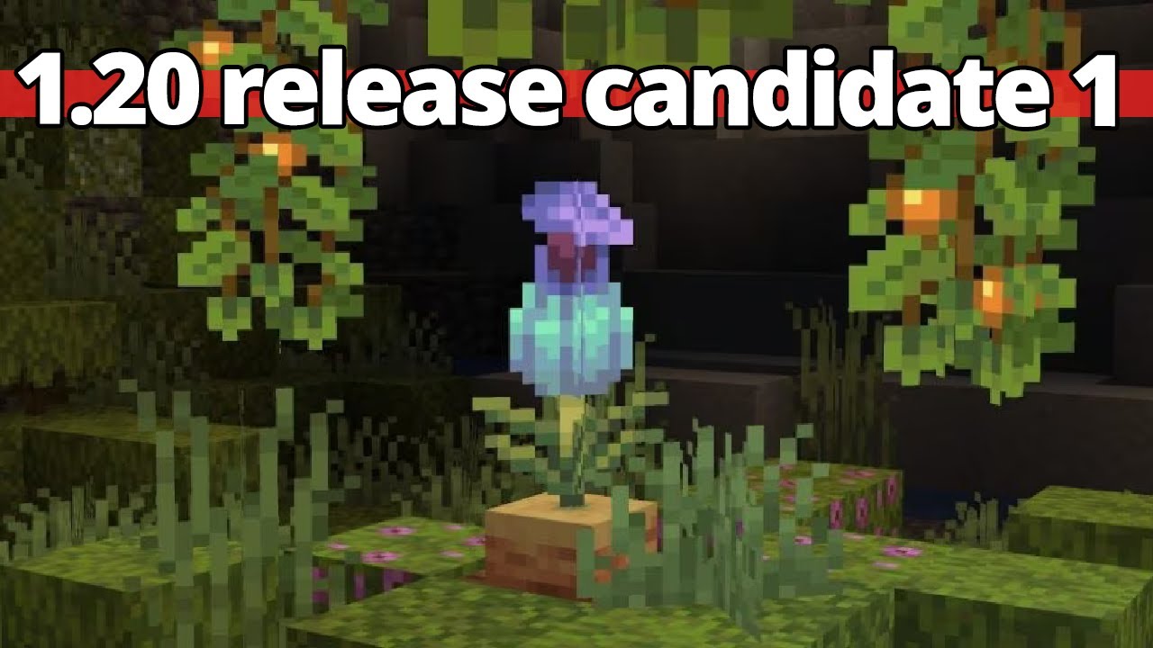 Minecraft 1.20.1: Minecraft pushes 1.20.1 release candidate 1, addresses  bugs. Here's how to download it - The Economic Times