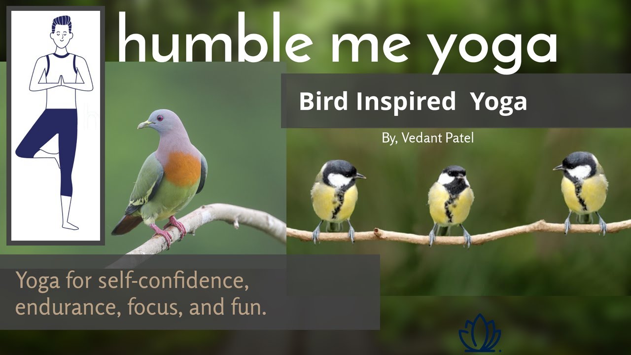 Bird Inspired Yoga YouTube