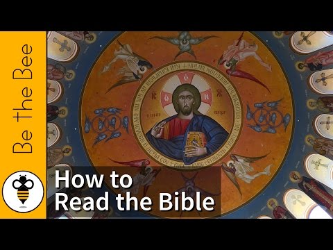 Be the Bee #128 | How to Read the Bible