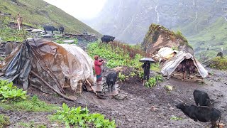 Most Rainfall And Relaxing Mountain Village | This is Himalayan Village | Primitive Rural Village.