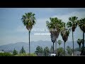 Moog Matriarch | Sarah Schachner | Aurora Aura