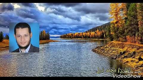 القارئ محمد نبيل ترتيل وتحبير لسورة الجاثية