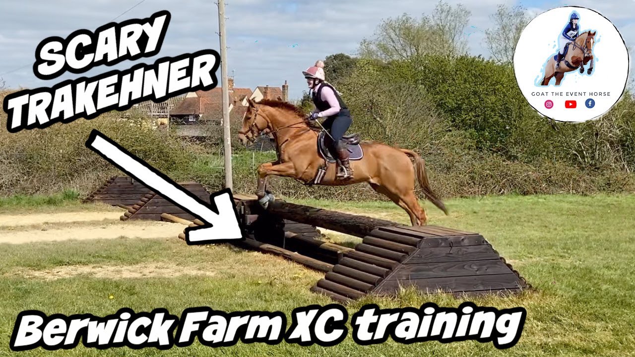 WE GOT OUR MOJO BACK BERWICK FARM XC TRAINING GOAT THE EVENT HORSE