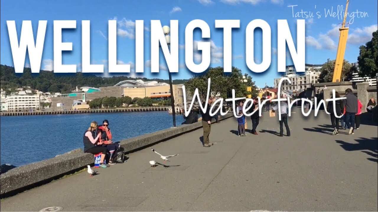 ウェリントン街歩き Waterfront 美しい街並みニュージーランド ウェリントン Youtube