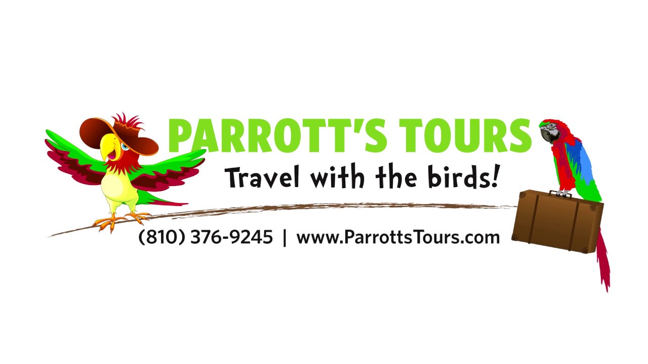 parrots tours