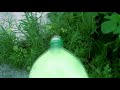 Mata Yuyos natural para eliminar las malas hiervas ¡El Mejor Herbicida Casero!