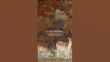 🌸وَاللهُ يَدعُوا إِلَى دَارِ الإِسلَـٰمِ🌸 سورة: يونس🌸 القارئ: زين العابدين الحديدي🌸#قرآن #quran