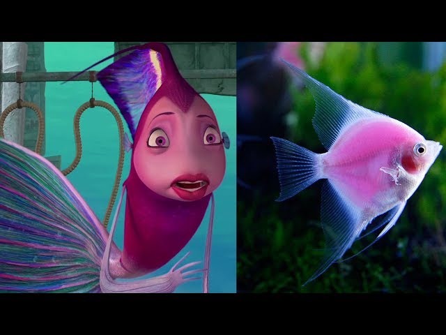 Shark Tale Characters in Real Life 