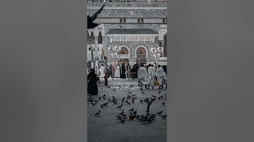 سورة الحج {الآية 32} بصوت الشيخ ياسر الدوسري ❤️💖