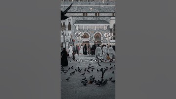 سورة الحج {الآية 32} بصوت الشيخ ياسر الدوسري ❤️💖