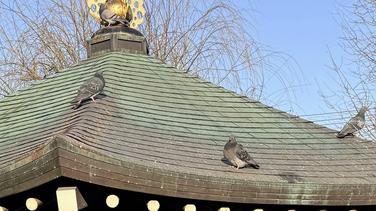 フリドロラジオ(仮)第21回