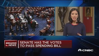 Senate has votes to pass funding bill to House