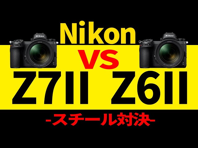 Nikon Z7II VS Nikon Z6II Stills Showdown: Compare the Images