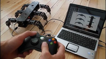 Robot Hexapod & FlowStone