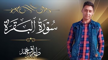 حصريا #تلاوة من سورة البقرة | القارئ طارق قنديل  