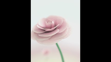 Maya Flower Growth Animation