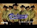 Palomo - Flor De Capomo (Lyric Video)